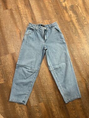 Light Wash High-Rise Barrel Jeans